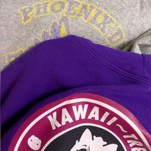 Aphmau hoodie bundle 💜